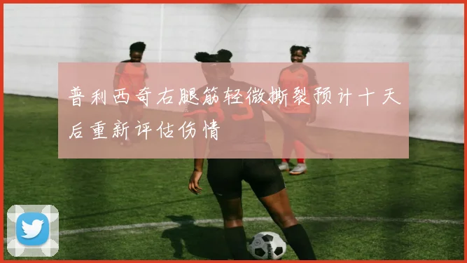 普利西奇右腿筋轻微撕裂预计十天后重新评估伤情