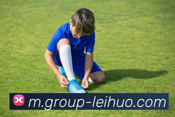 雷火电竞平台生态图